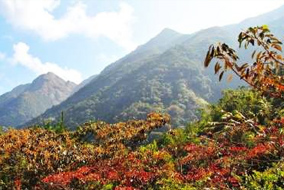 高州仙人洞風(fēng)景區(qū)